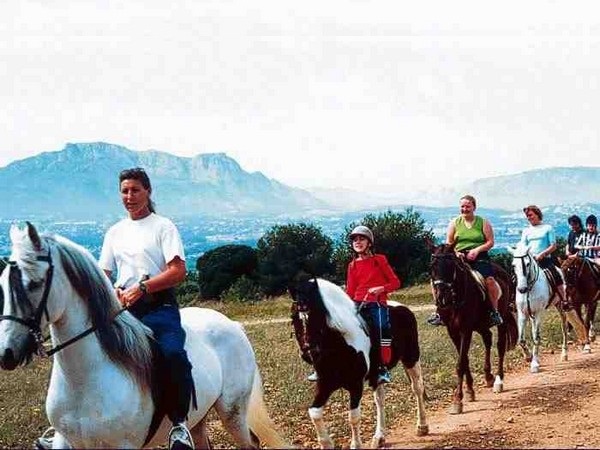 Benidorm Horse Riding with In The Sun Holidays