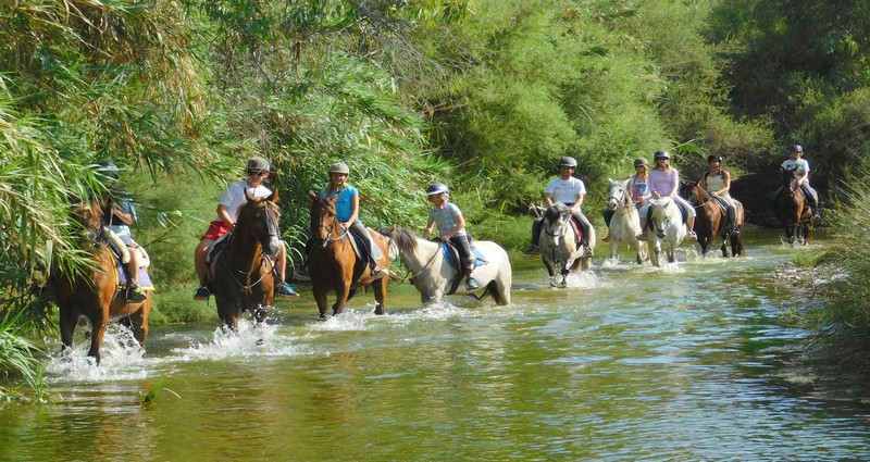 Horse Riding in the Orihuela Costa 2