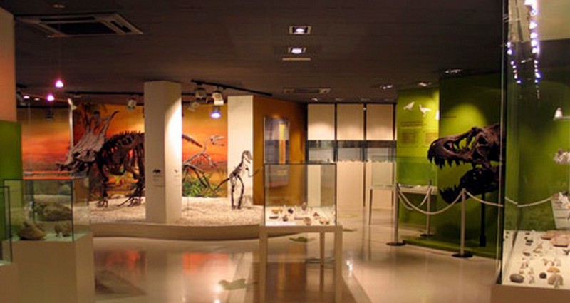 Paleontological Museum in Elche from In The Sun Holidays 1