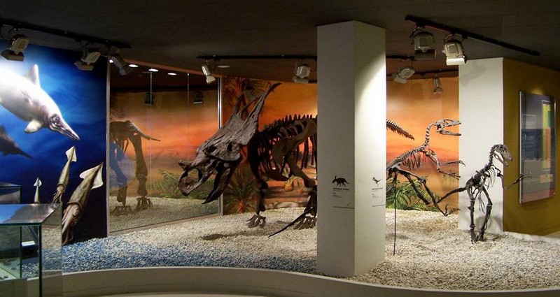 Paleontological Museum in Elche from In The Sun Holidays 2