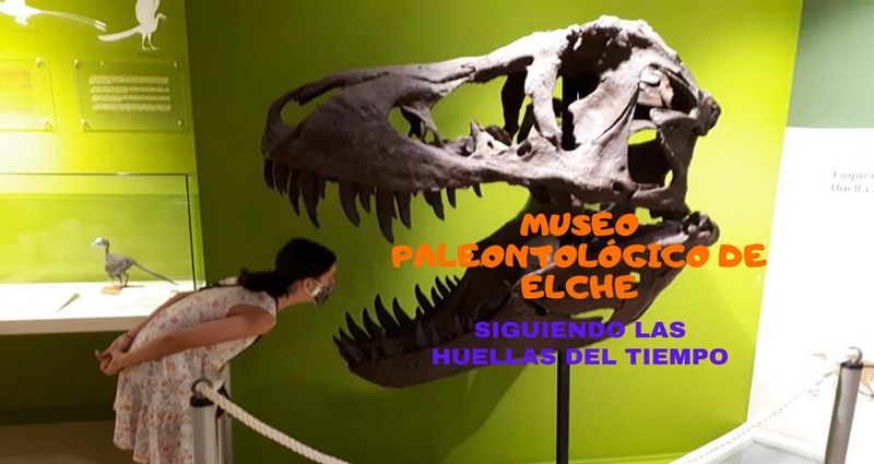 Paleontological Museum in Elche from In The Sun Holidays 3