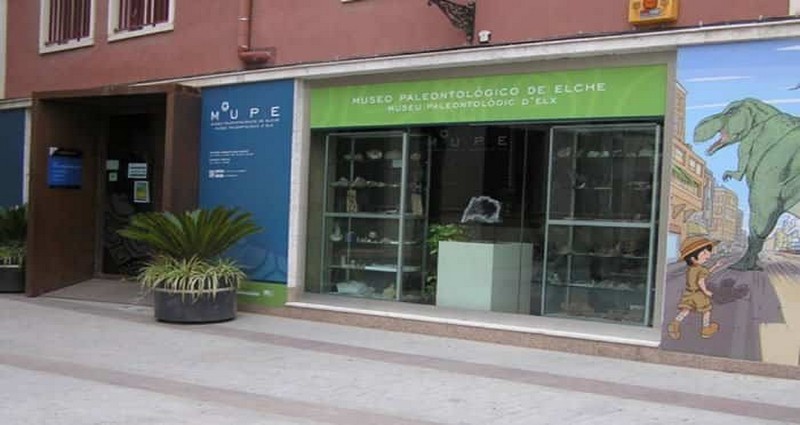 Paleontological Museum in Elche from In The Sun Holidays4