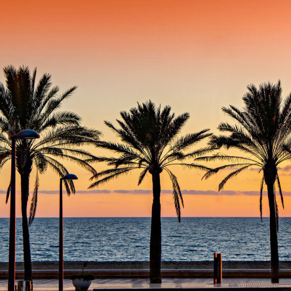 in the sun holidays banner 5 sunset promenade palm trees xs