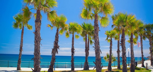 Beaches of the Orihuela Costa