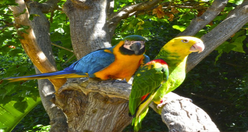 Terra Natura Zoo - Benidorm 1