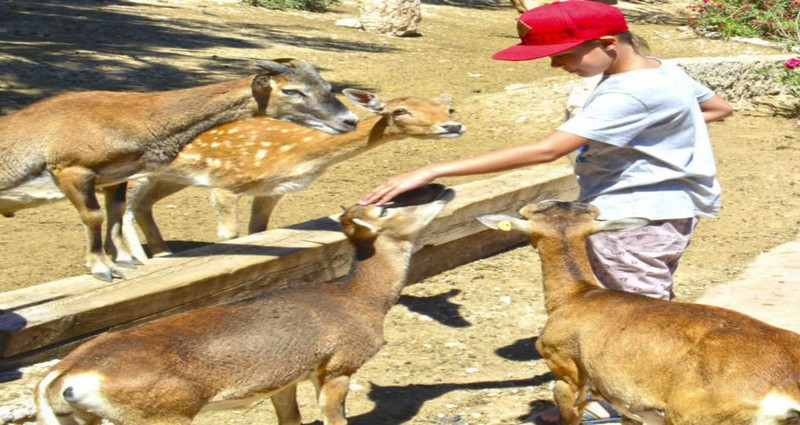 Terra Natura Zoo - Benidorm 2