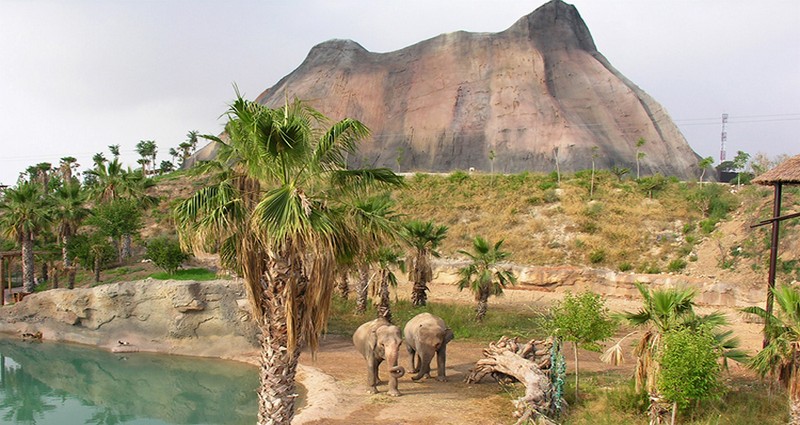 Terra Natura Zoo - Benidorm 4