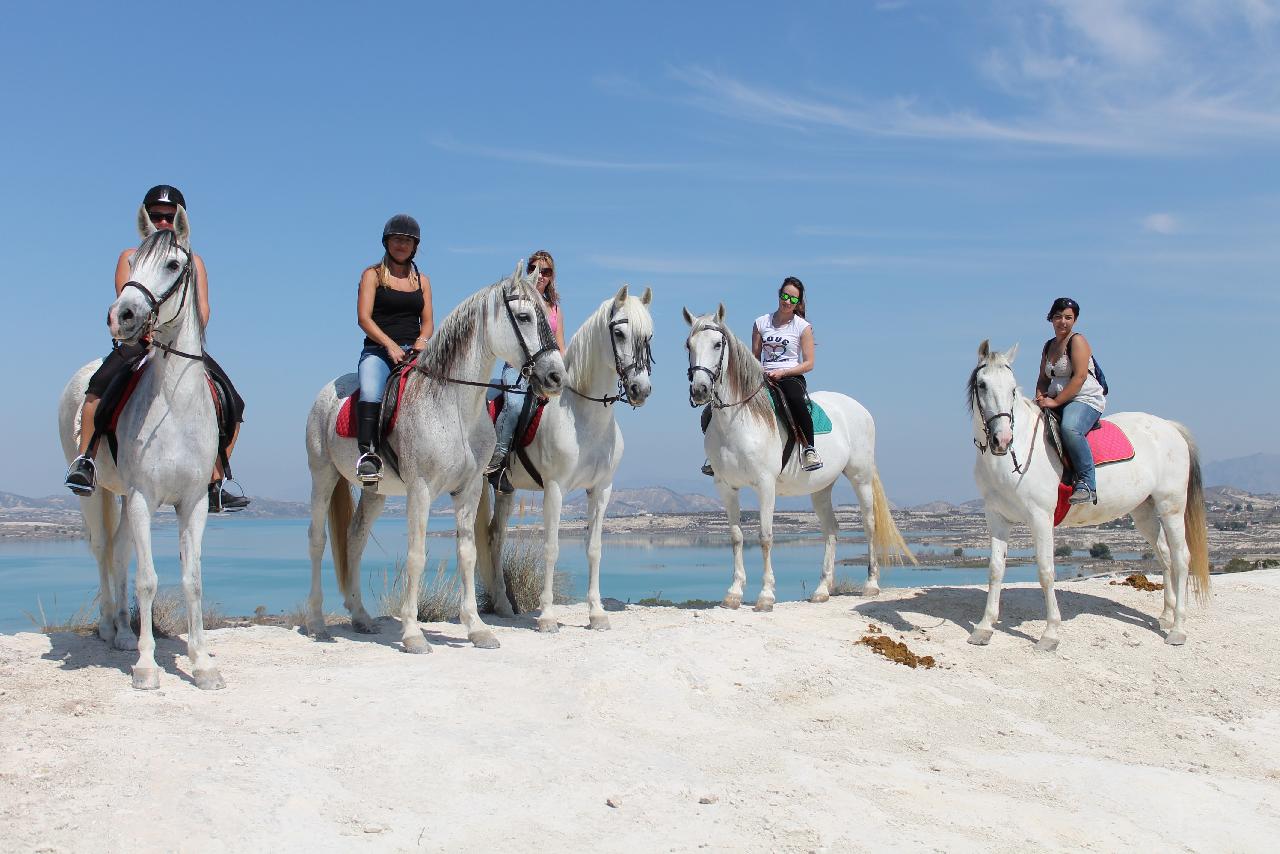 itsh 1774889592EKMIRW ref 1835 mobile 21 Horese riding nearby Cabo Roig